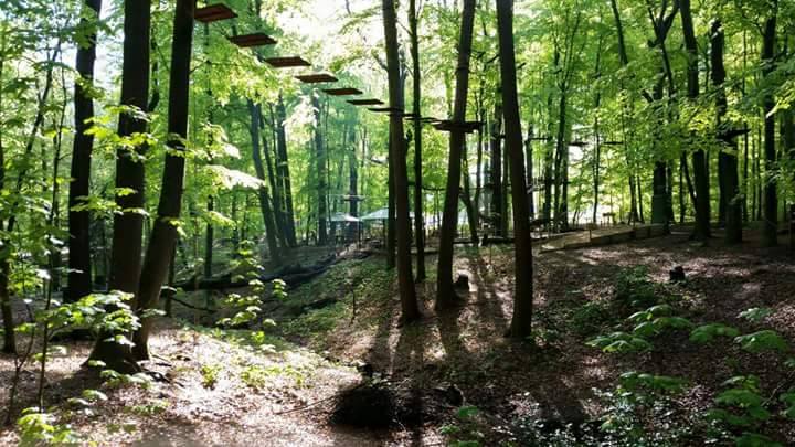 Kletterhalle - Kletterwald Freischütz