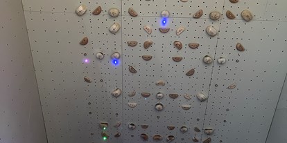 Klettern - Hunsrück - Tension Board
 - GRAVITY  Boulderhalle