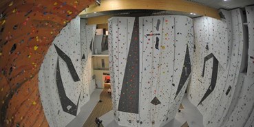Klettern - eigener Boulder Bereich - Pfalz - FitzRocks - Kletterhalle - FitzRocks - Kletterhalle Landau